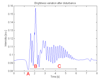 Detail of candle response